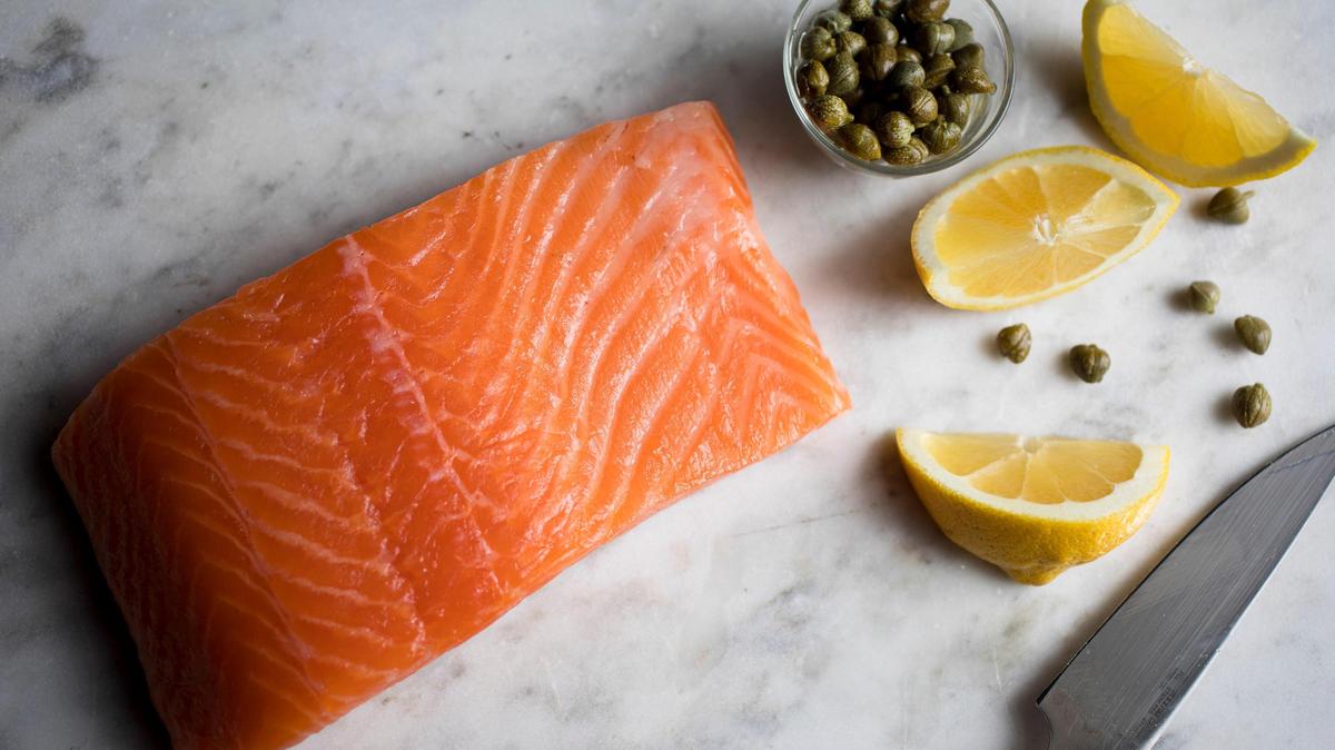 Salmon