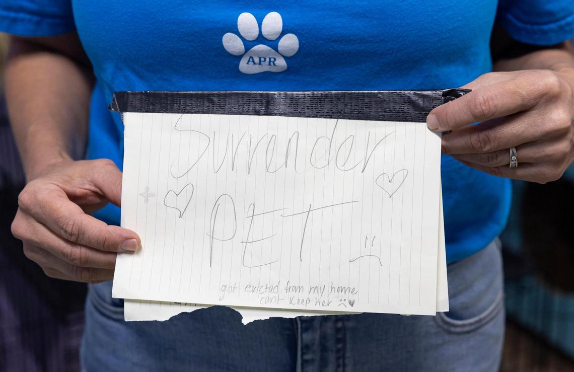 Kara Starzyk, 44, shelter manager, holds a note that she received after someone abandoned Thymie, a 2-year-old domestic short hair cat, at Abandoned Pet Rescue on Thursday, May, 15, 2025, in Fort Lauderdale, Fla.