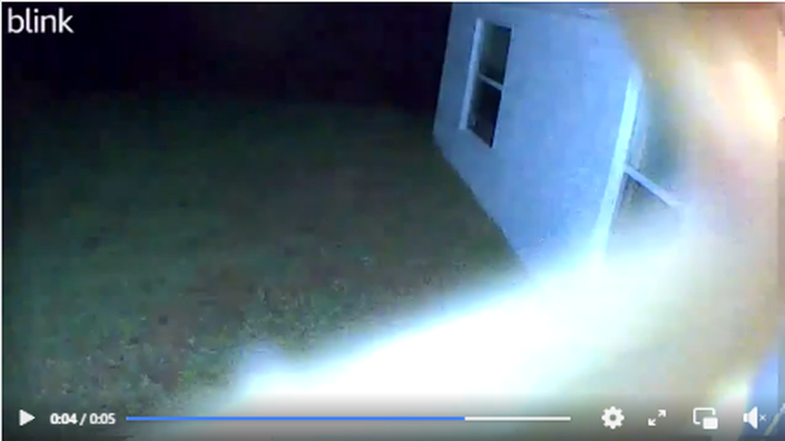 A Florida home’s doorbell camera recorded something strange in the middle of the night, leading to speculation it was an invasive species.