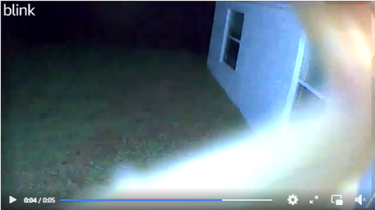 A Florida home’s doorbell camera recorded something strange in the middle of the night, leading to speculation it was an invasive species.