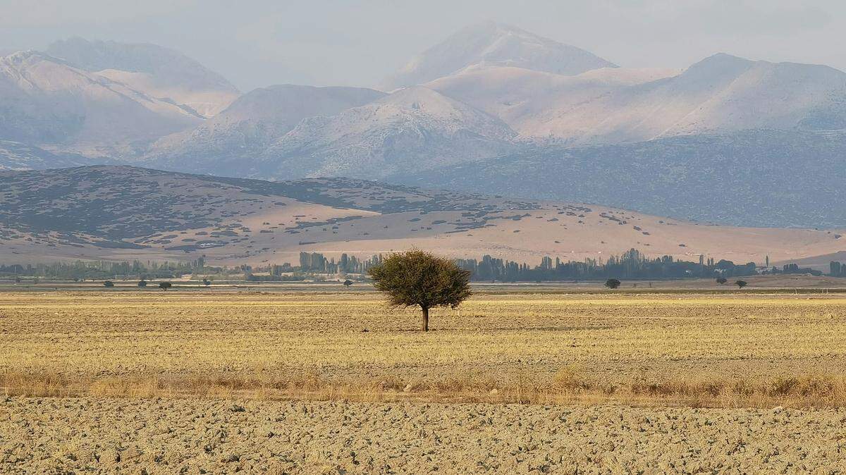 In western Turkey, an ancient city held a statue’s missing piece.