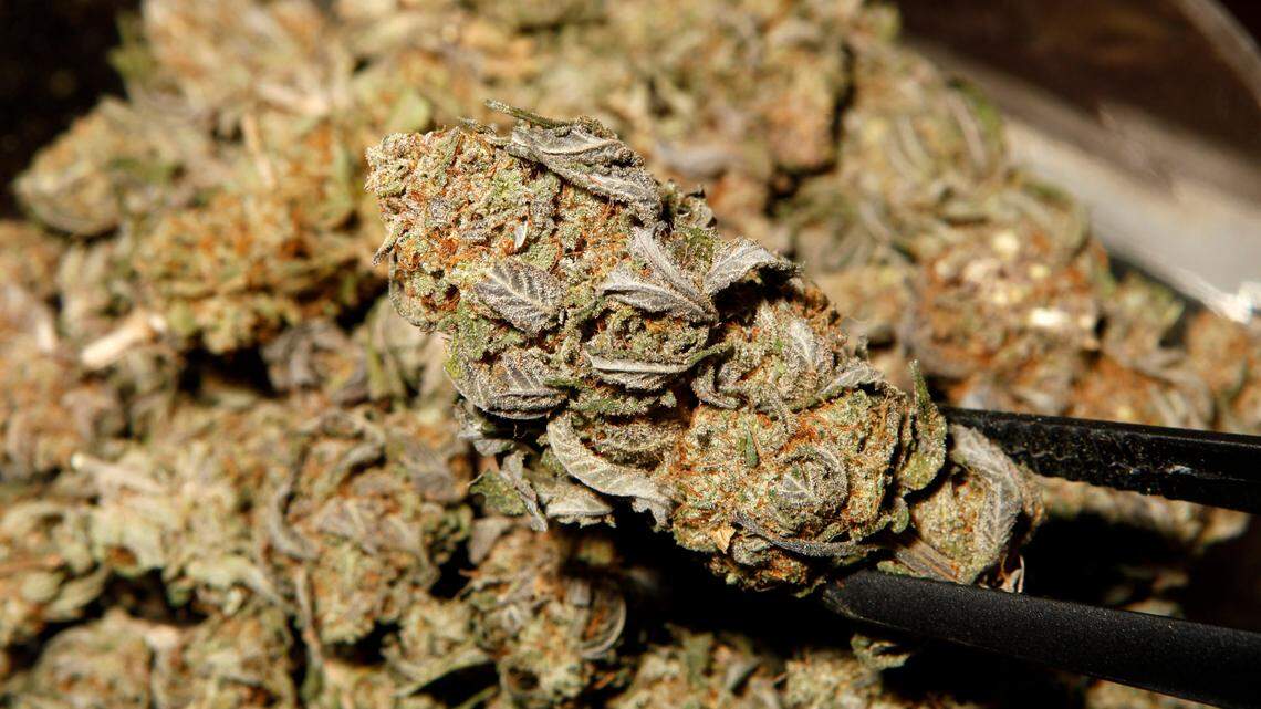 A man was found with nearly 400 pounds of weed after taking a wrong turn and ending up at the Canadian border.