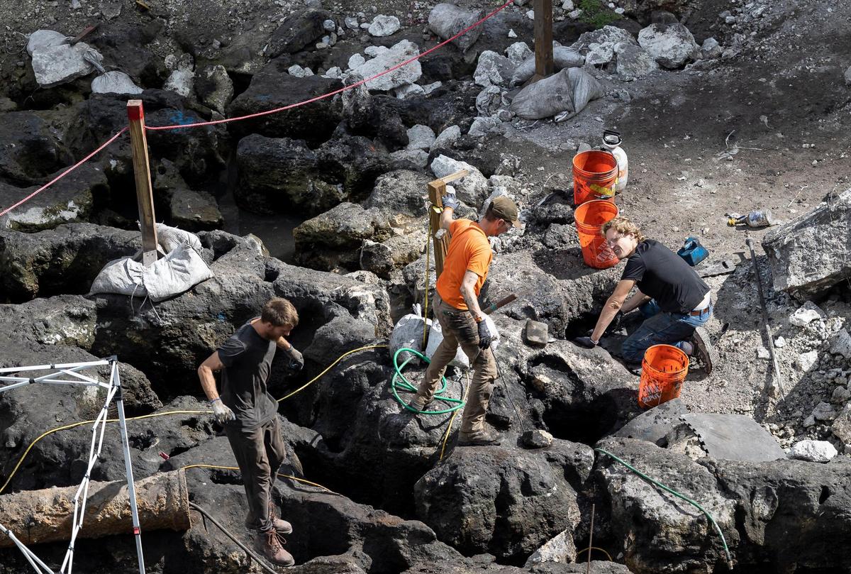 Archaeologists comb through the limestone bedrock as they search for deposits of prehistoric artifacts and other materials in natural sinkholes. Experts say the excavation work has found evidence at the site of ritual burial, likely of Tequesta people, and of feasting and ceremonial animal offerings buried in the earth and in sinkholes.