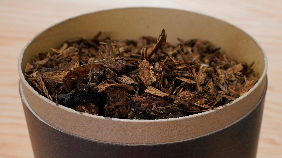 A container of compost produced from human remains is shown at Recompose, a company that composts human remains into soil, in 2021 in Kent, Washington, south of Seattle. Rhode Island recently proposed a bill to legalize human composting.