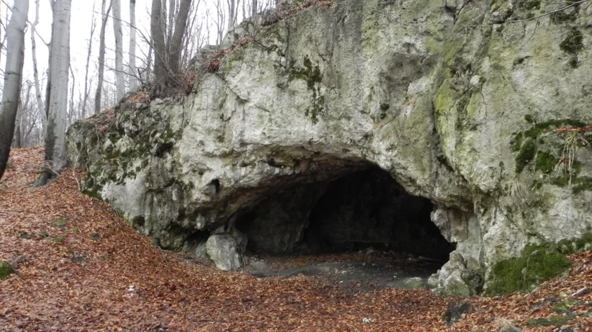 In a cave just north of Kraków, Poland, ancient people ate one another 18,000 years ago.