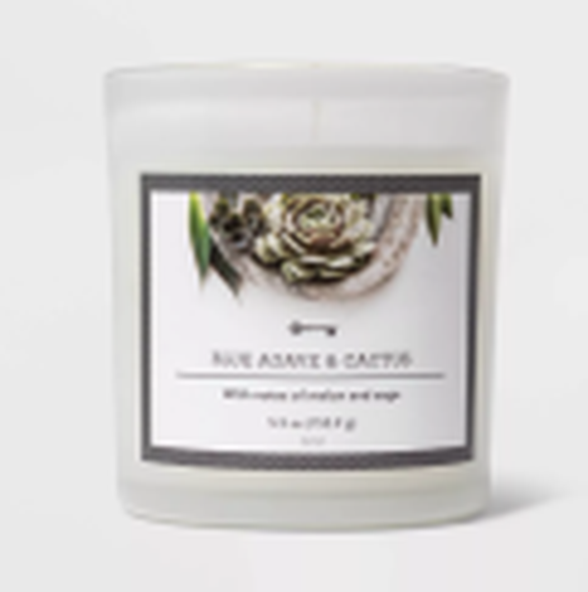 Threshold one-wick Blue Agave & Cactus candle