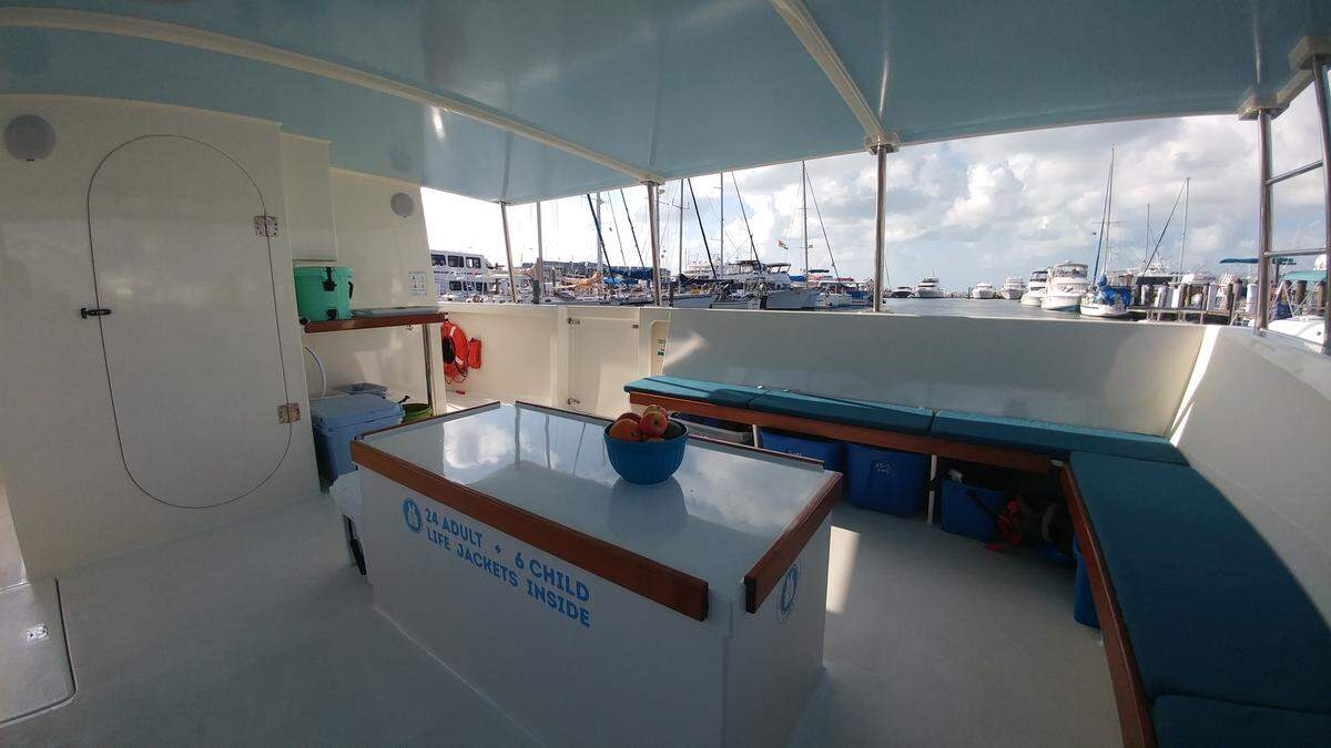 The solar-powered electric boat can hold up to 20 people.