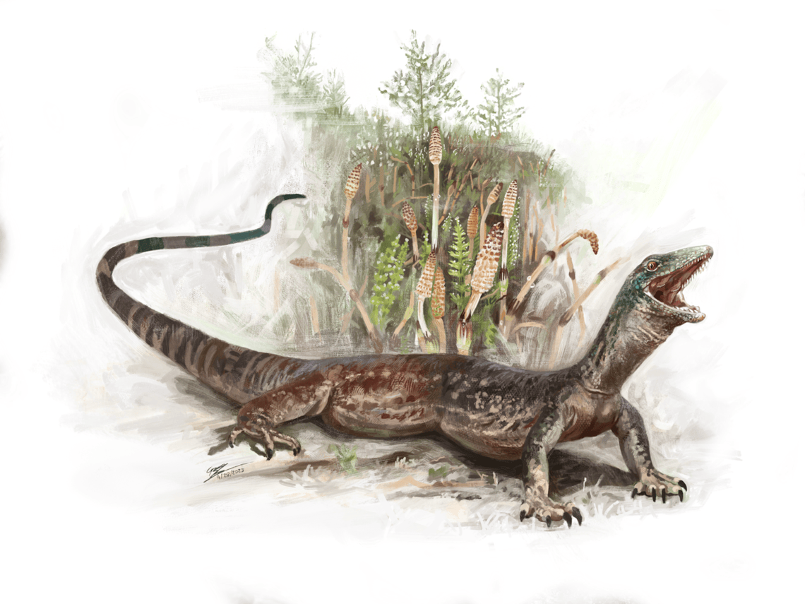 The species is the most complete set of fossils from the Parviraptoridae family.
