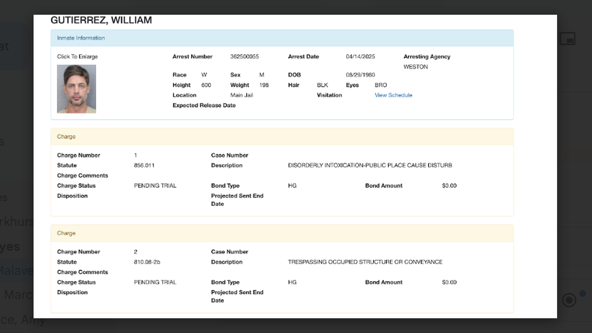 William Levy’s arrest record