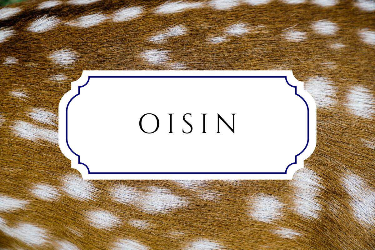 unique nature names oisin