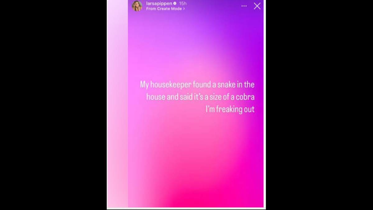 Larsa Pippen/Instagram Screenshot
