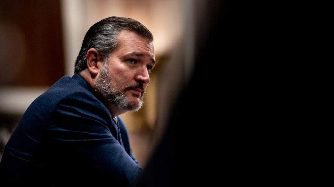 U.S. Sen. Ted Cruz, R-Texas, is co-sponsoring a long-shot constitutional amendment to put term limits on lawmakers in Congress.