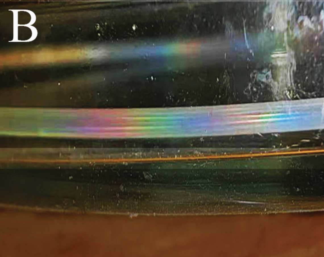 The worms are reflective with a rainbow-like coloration, researchers said.