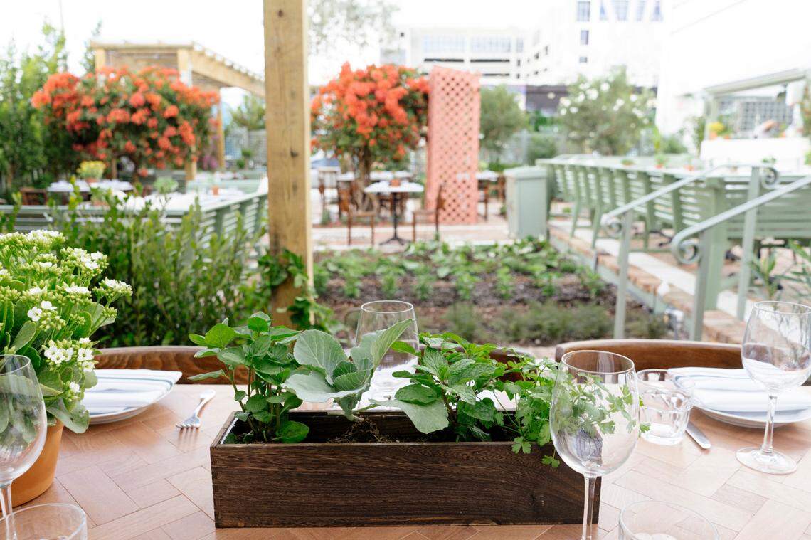 Vegetables and herbs grow throughout Rosemary’s outdoor garden.