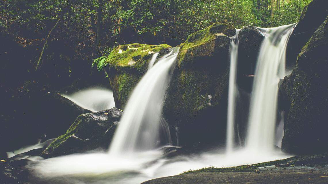 Animals around the world have been discovered for the very first time.