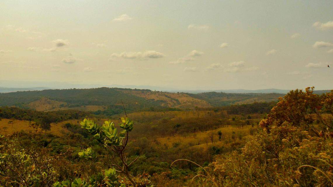In the Cerrado region of Brazil, a mining operation revealed a first-of-its-kind record.