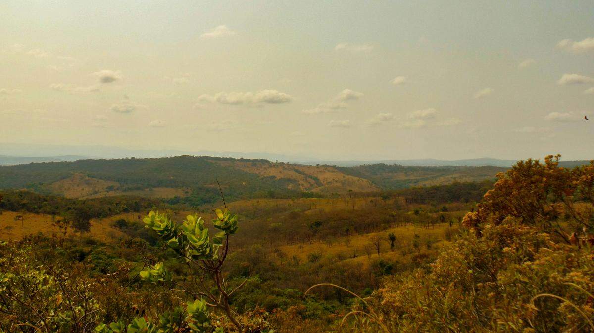In the Cerrado region of Brazil, a mining operation revealed a first-of-its-kind record.