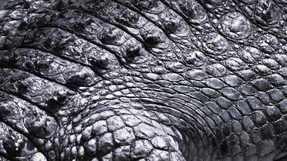 “I ended up in the water. And that’s literally the last thing I remember,” the victim told media outlets.