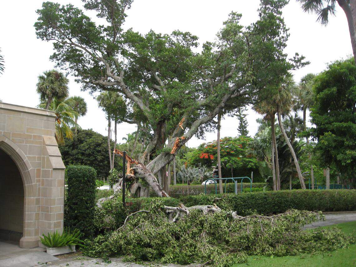 A microburst also barreled through the church’s playground, he said. It ripped a tree out of the ground, broke a light post and caved in part of a fence.