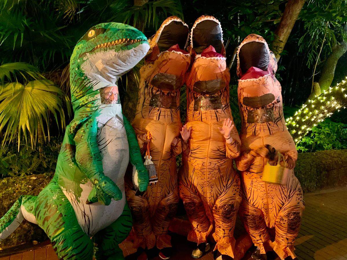 This group of dinosaurs howled on the streets of Coconut Grove on Halloween night in 2021. If they return on Oct. 31, 2022, the National Weather Service in Miami forecasts clear skies and comfy temperatures.