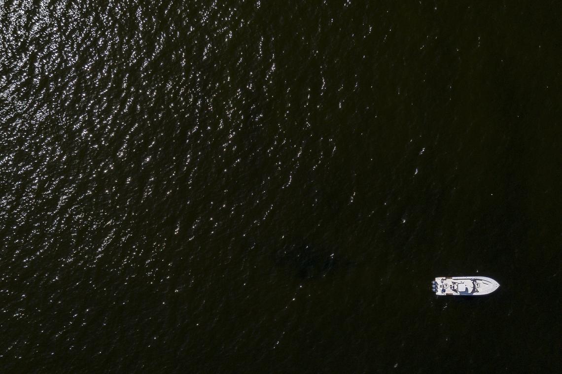 Mote Marine Lab researchers sample water off Longboat Key near Sarasota as part of an investigation into a prolonged red tide along the Southwest Florida coast that has triggered widespread fish kills.