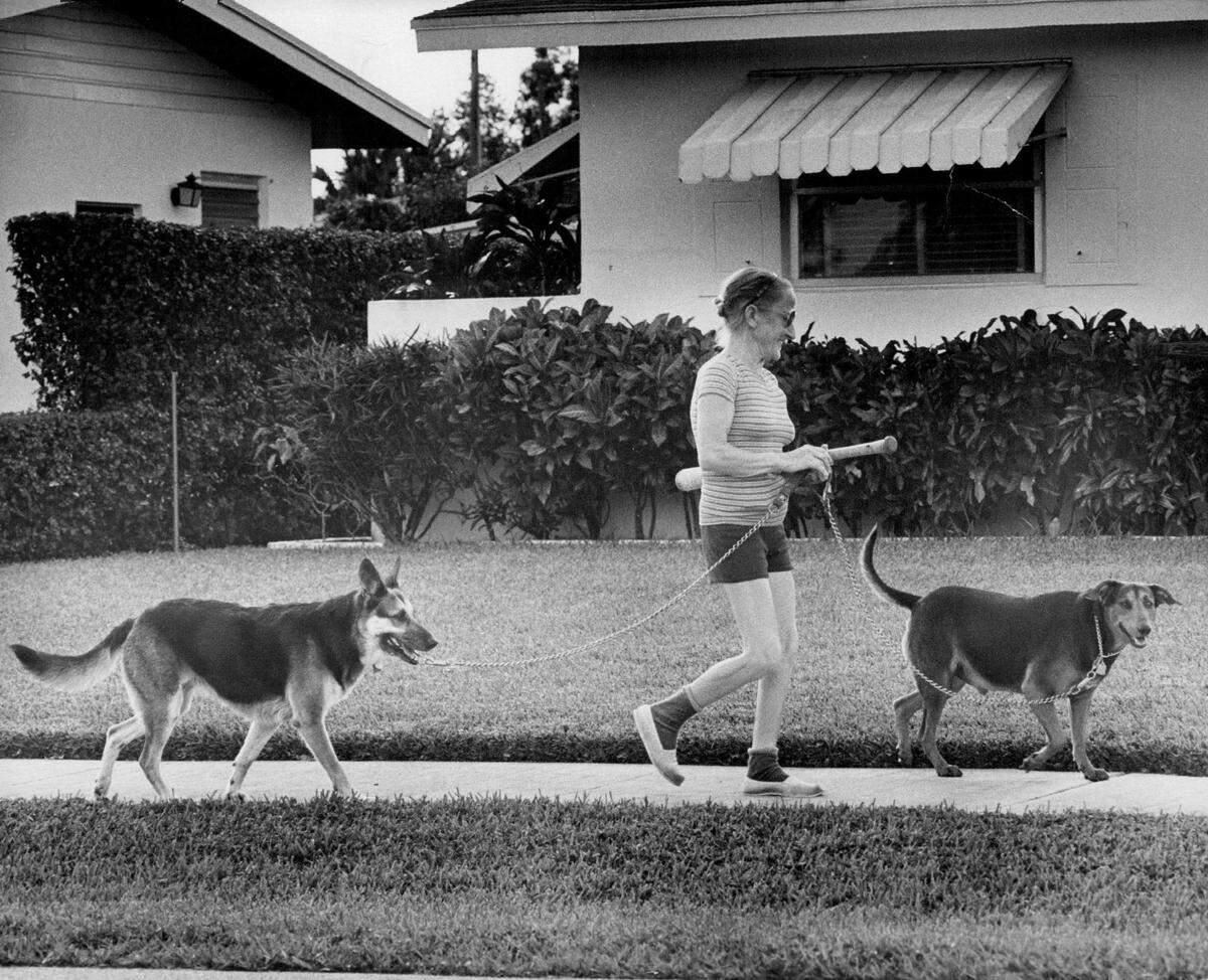 Madge Belden of Westchester takes her dogs, Sabrina and Bruno, for a walk in 1979.