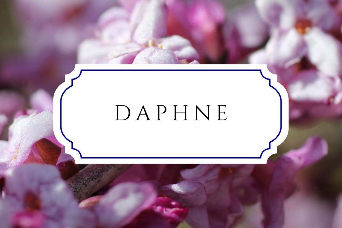 names that mean flower daphne