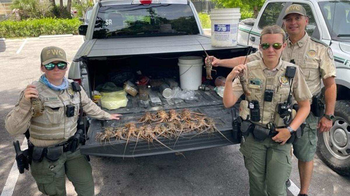 Florida Fish and Wildlife Conservation Commission police officers stand by a truck bed displaying 19 out-of-season spiny lobsters two men are accused of catching Sunday, July 16, 2023