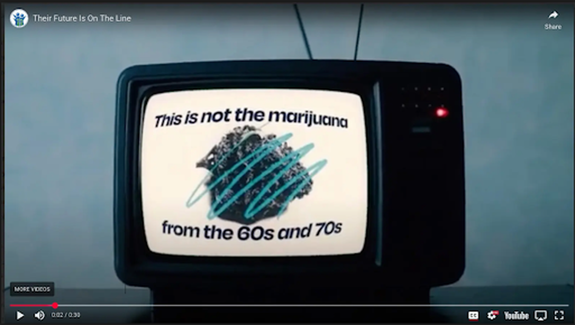 A screenshot of a DeSantis administration “public service announcement” regarding Amendment 3.