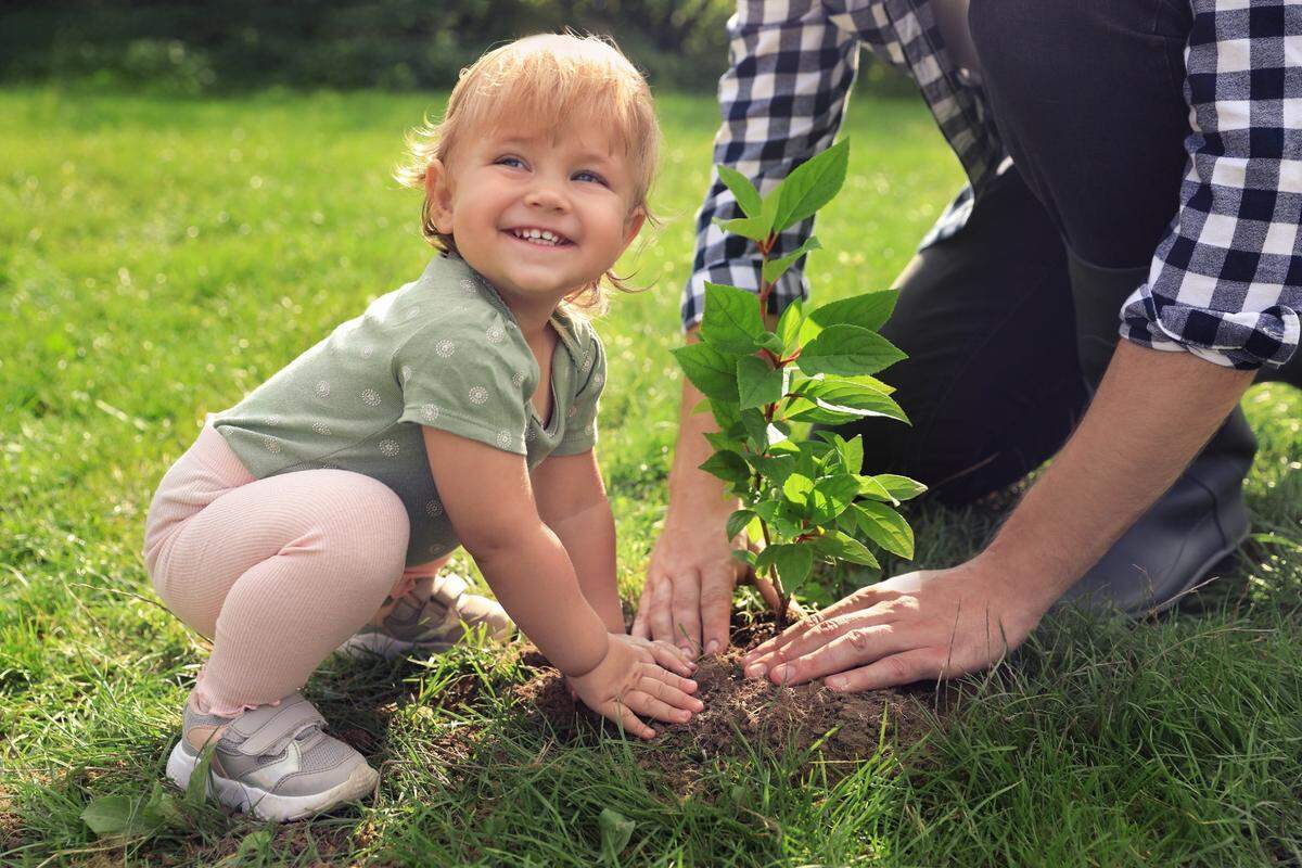 parent and child planting a tree