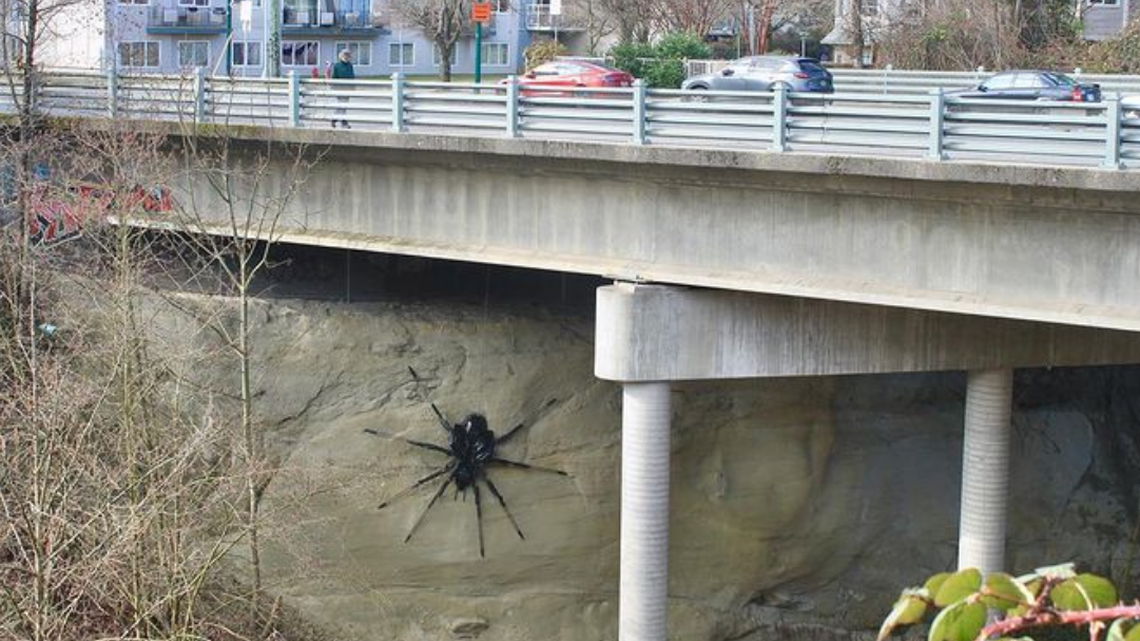 The “unsanctioned” spider appeared under a bridge in Vancouver, prompting city officials to plan its removal.