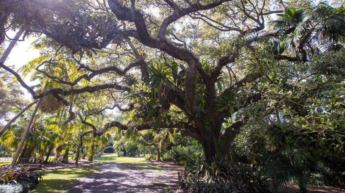 Fairchild Tropical Botanic Garden is holding a Beatles singalong this weekend.
