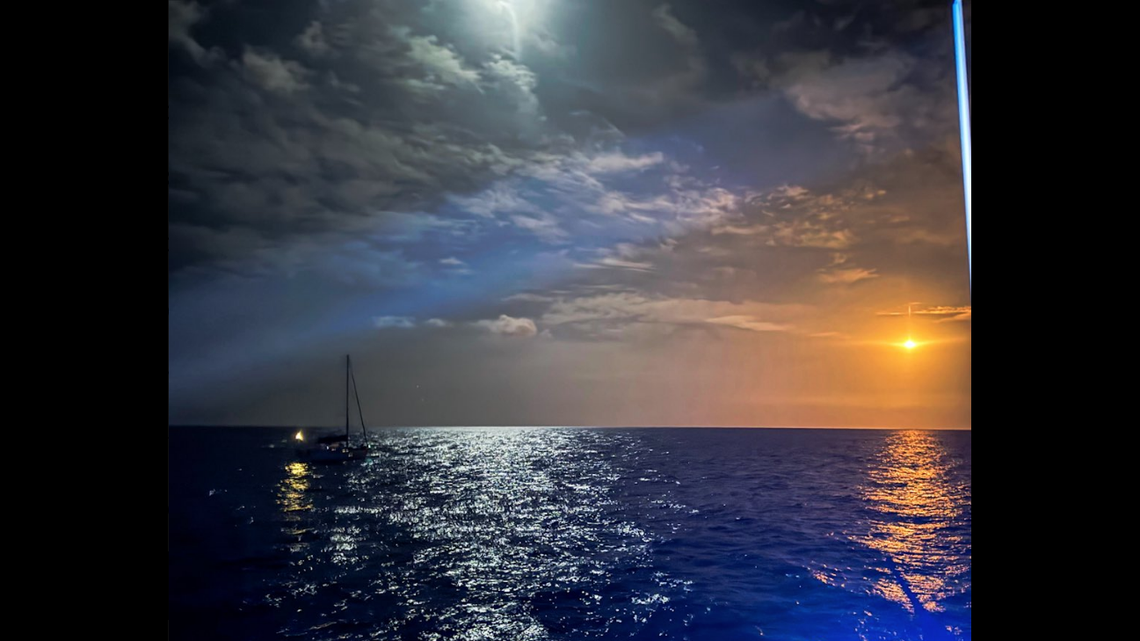 Loggerhead sea turtles often nest at night and tend to “go into a trance-like state,” experts say. As a result, they can lose their way or get disoriented when encountering lights.