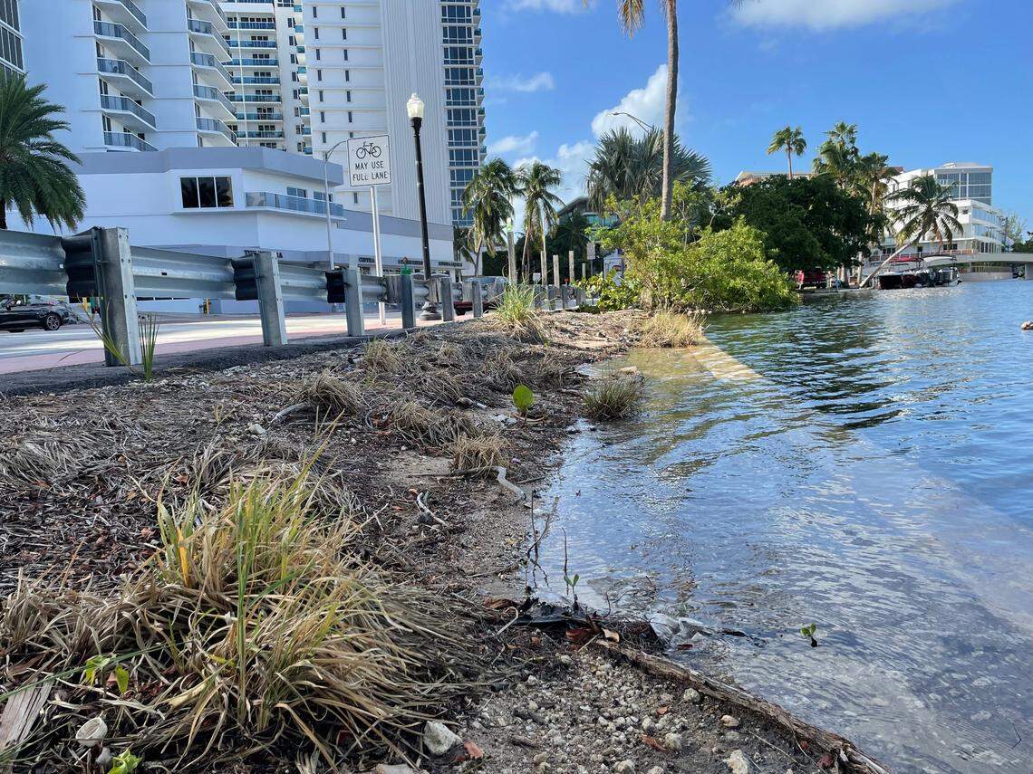 Water laps over a curb a few inches below the level of a neighboring road.