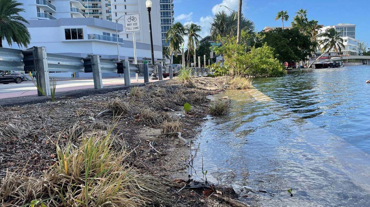Water laps over a curb a few inches below the level of a neighboring road.
