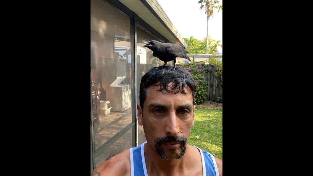 The author with Winston the grackle, who was rehabilitated and released into the wild in South Florida in April 2021.