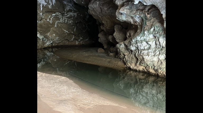 Cave creature — with ‘shimmering’ cheeks — discovered as new species in China