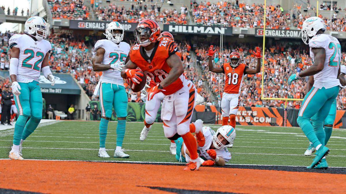 Cincinnati running back Joe Mixon celebrated a touchdown against Miami last Sunday at Paul Brown Stadium. The Bengals host the Pittsburgh Steelers this Sunday.