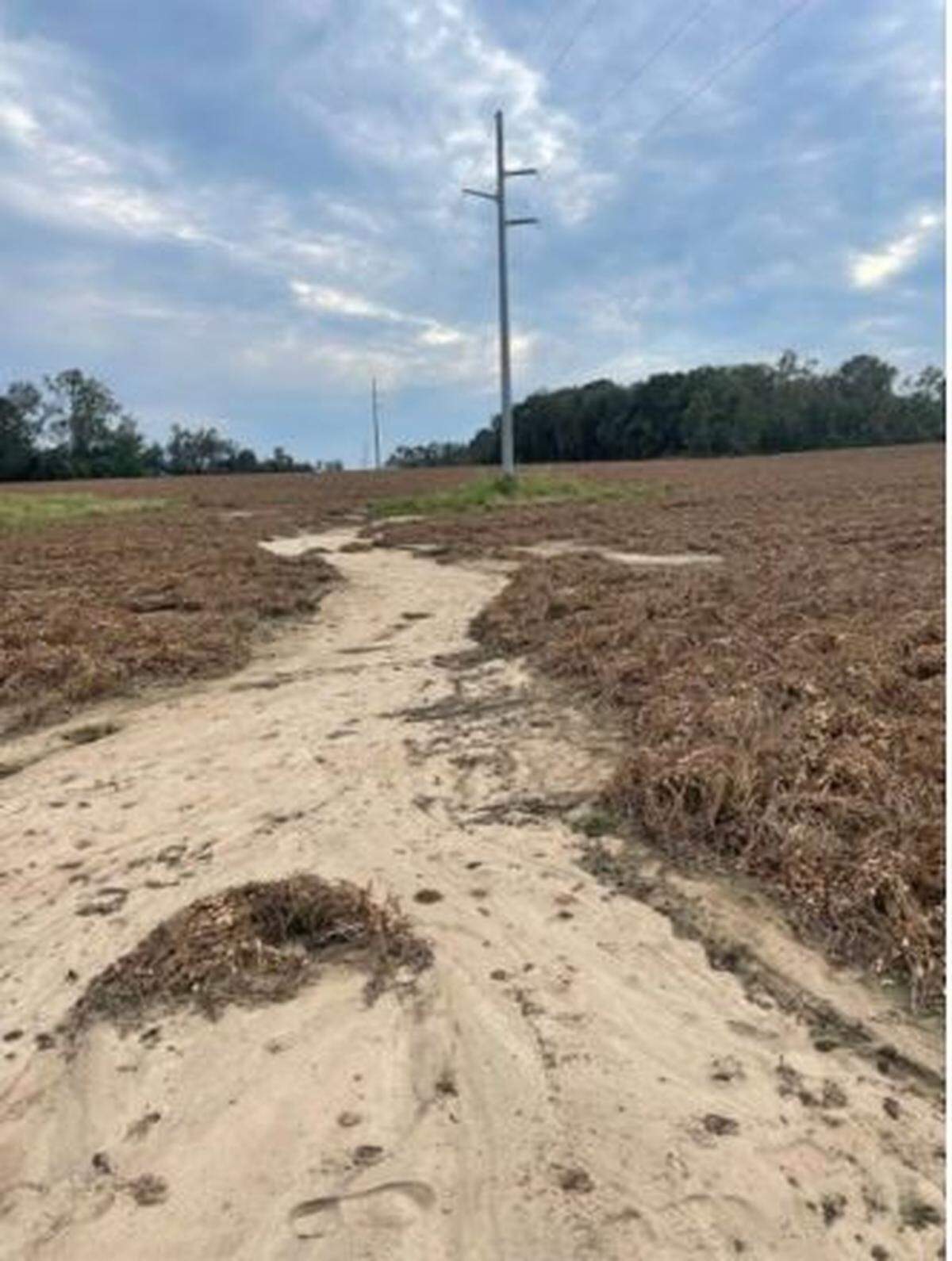 Heavy rain from Hurricane Helene washed out a portion of Fulford’s peanut crop west of Monticello. Fulford’s insurance guarantees have suffered due to repeated storms.