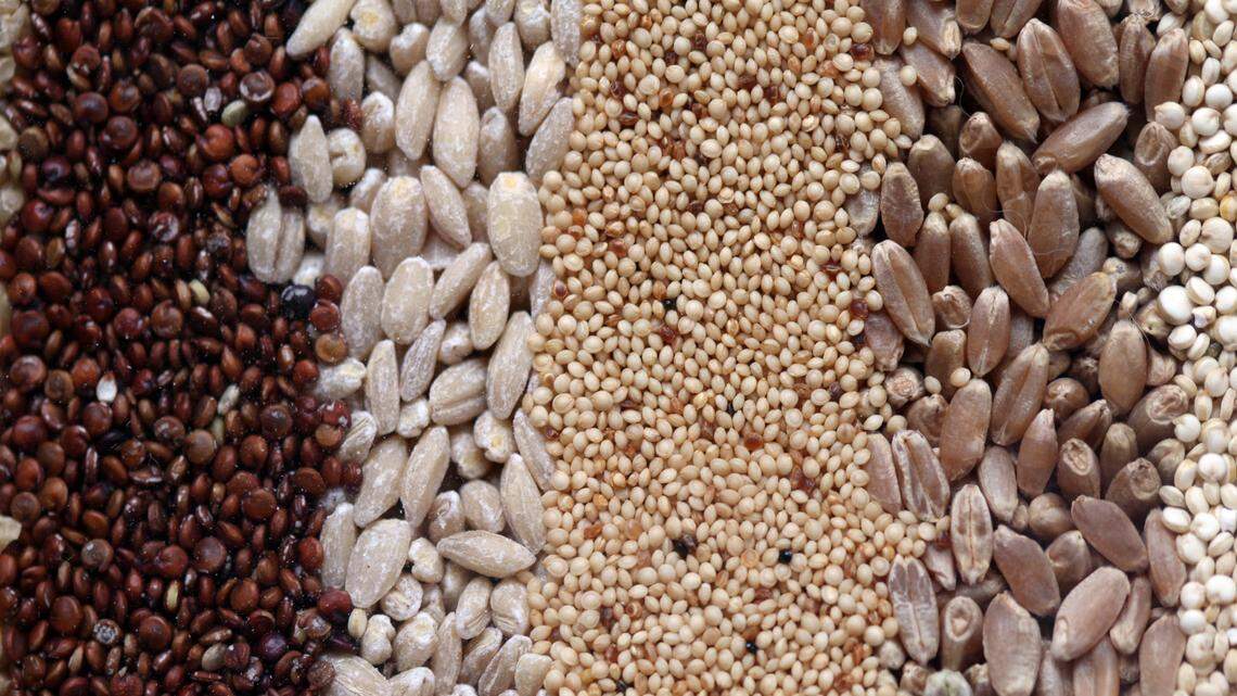 Whole grains are tasty and have many health benefits. Pictured here, from left, red quinoa, pearl barley, amaranth, farro, and white quinoa. Other whole grains include oats, bulgur, brown rice, black rice, wild rice, millet, whole wheat bread or pasta or crackers. 