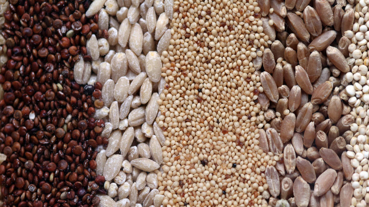 Whole grains are tasty and have many health benefits. Pictured here, from left, red quinoa, pearl barley, amaranth, farro, and white quinoa. Other whole grains include oats, bulgur, brown rice, black rice, wild rice, millet, whole wheat bread or pasta or crackers. 
