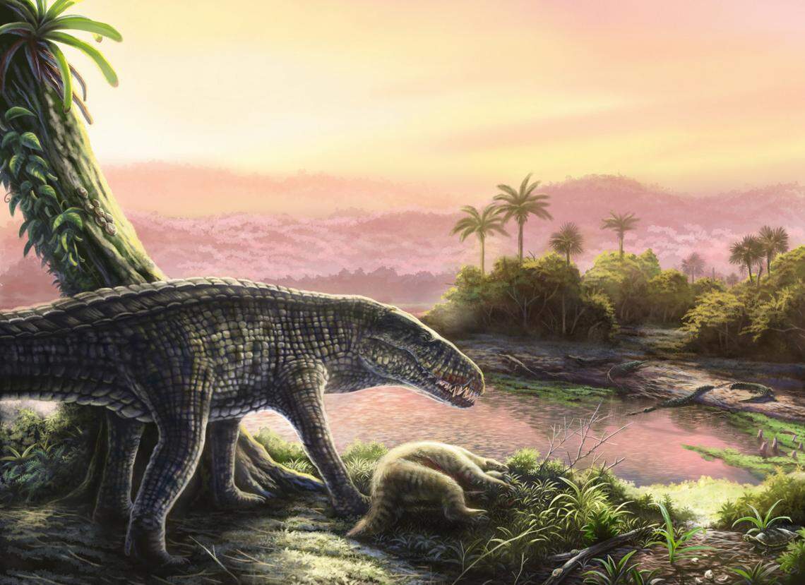 The “giant” animals lived primarily on land and were “built like a greyhound,” researchers said.