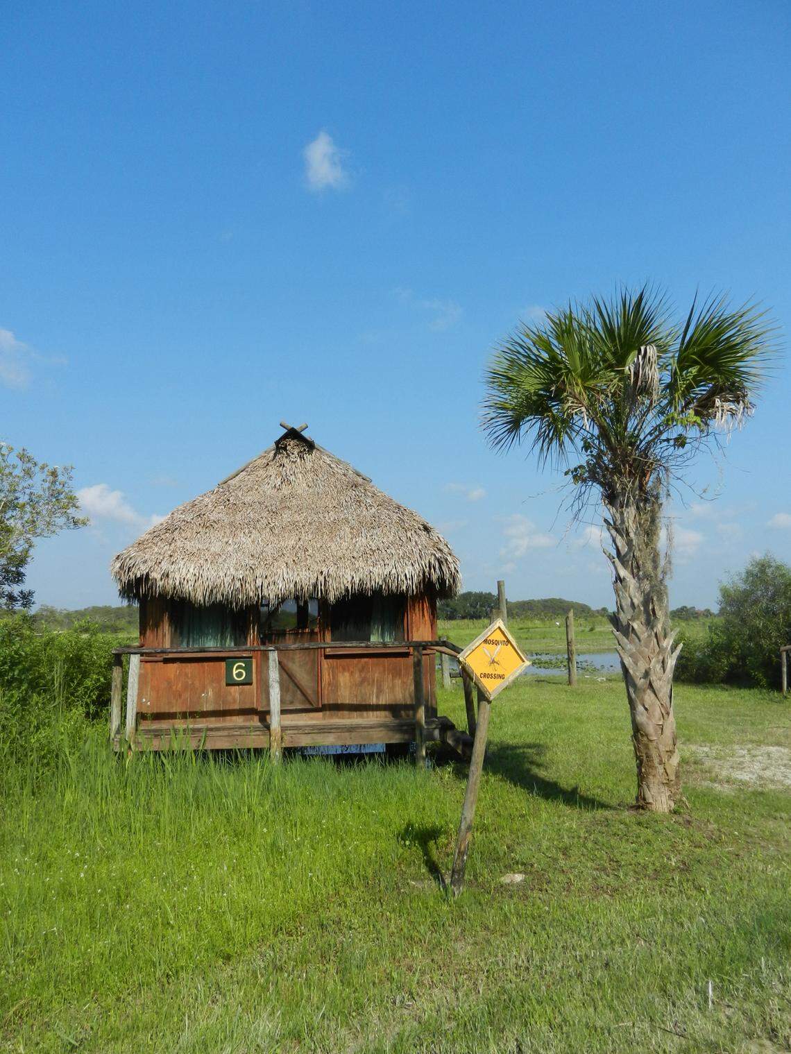 Guests at the 55,000-acre Big Cypress Seminole Indian_Reservation can stay in chickees, traditional wooden huts with thatched roofs. Some of the huts snuggle up to the swamp_waters -- and occasionally the alligators that dot the reservation.