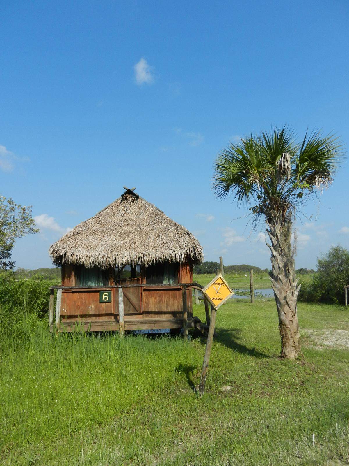 Guests at the 55,000-acre Big Cypress Seminole Indian_Reservation can stay in chickees, traditional wooden huts with thatched roofs. Some of the huts snuggle up to the swamp_waters -- and occasionally the alligators that dot the reservation.