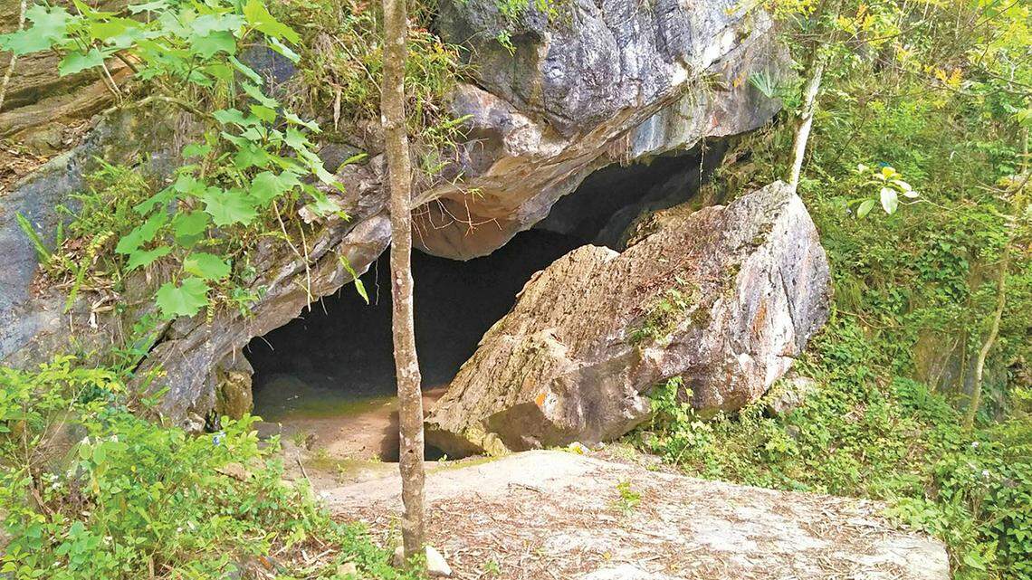 Scientists found an animal with a “triangular” head lurking on cliffs in Lũng Cú and discovered a new species, the study said.