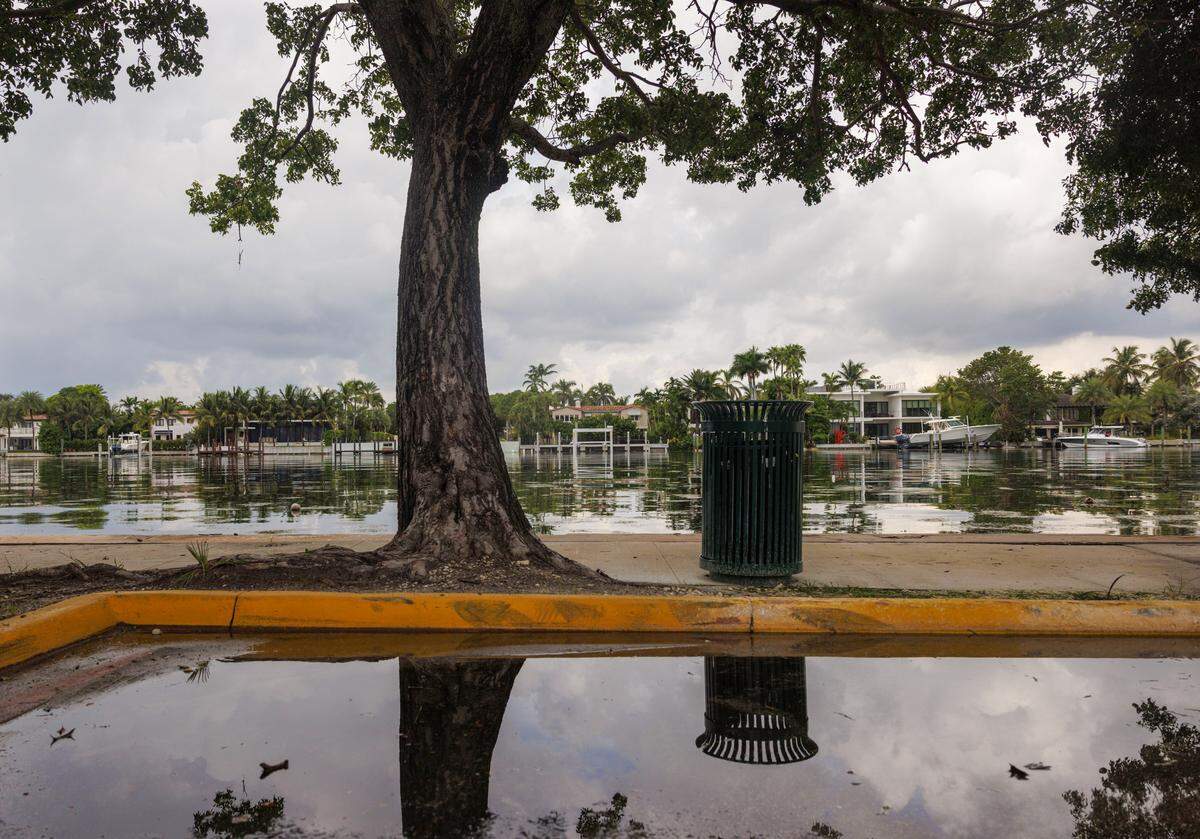 King tide causes the water in the bay to rise to the level of sidewalks on Tuesday, Sept. 9, 2025 in Miami Beach, Fla.