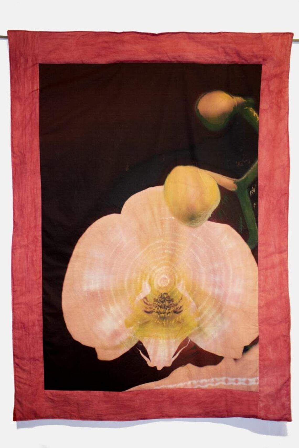 Diana Eusebio, Adapting Across Borders (Red), 2025. 69 X 49 inches. Photograph digitally printed on cotton fabric naturally dyed red with cochinilla beetle, quilted by hand.