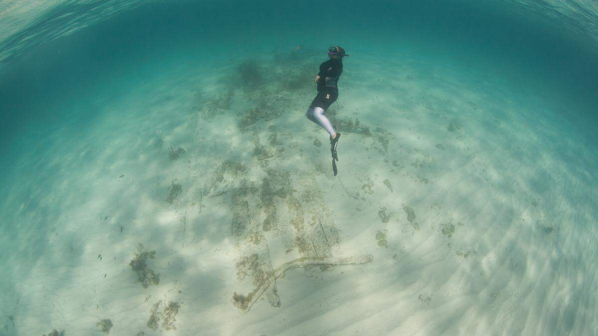 Florida Keys National Marine Sanctuary maritime heritage volunteer Cassie Qualls returns to the surface after investigating 19th century wreckage discovered on Alligator Reef near Islamorada.