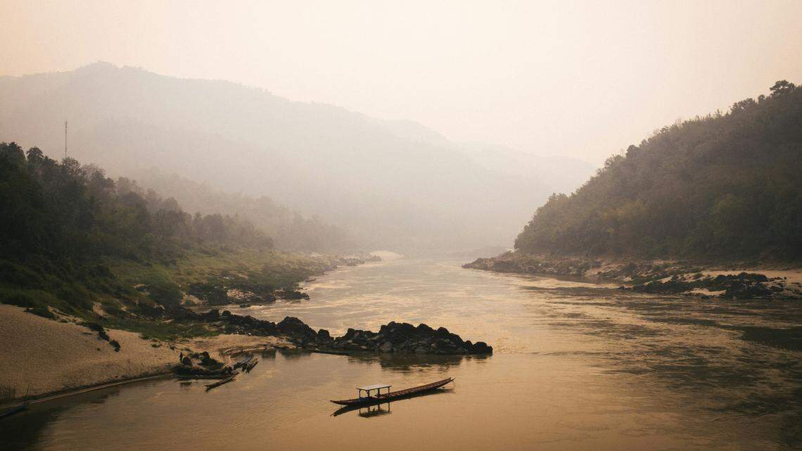 In 2005, a massive species disappeared from one of the longest rivers in the world. Now, it’s been found.