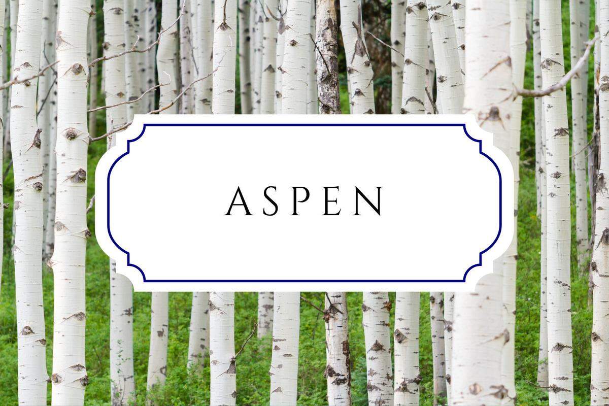 botanical baby names aspen